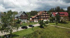 Café-Pension Feldbergblick